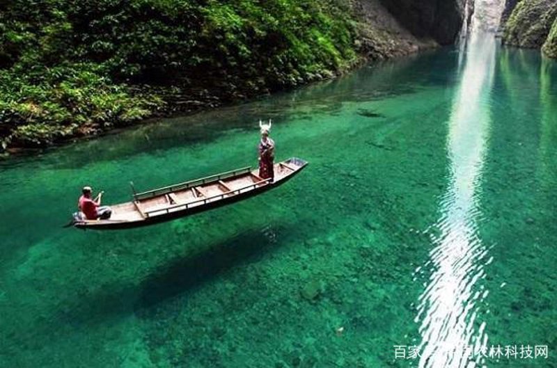 屏山土特产——留住乡愁的味道